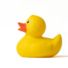 Pato de Goma Amarillo