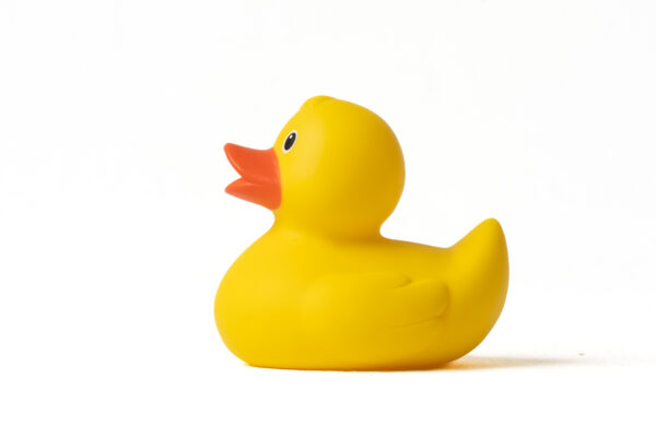 Pato de Goma Amarillo