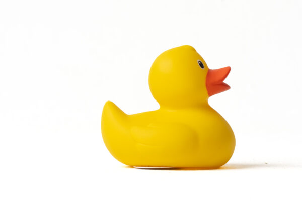 Pato de Goma Amarillo