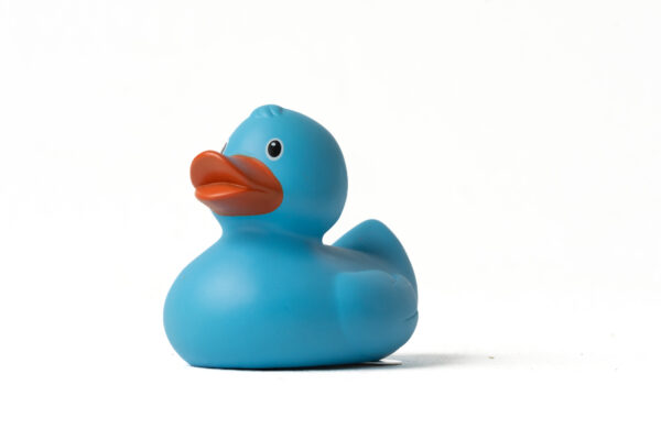 Pato de Goma Azul