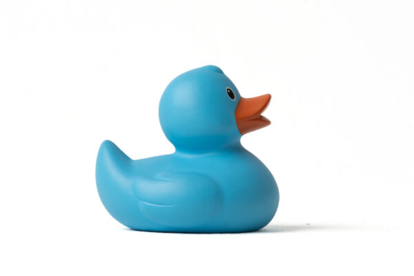 Pato de Goma Azul