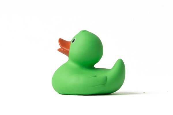 Pato de Goma Verde